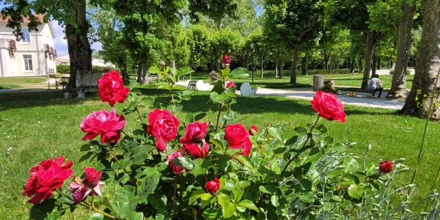 Parc thermes de Saujon 5