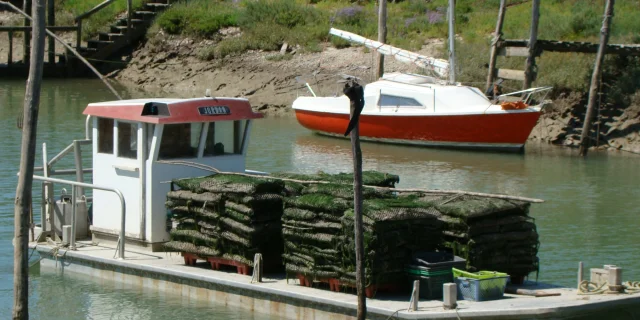 Bassin de Marennes Oléron 3 - elsacoeffe