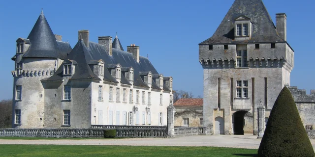 Chateau la Rochecourbon 2 - stephanemorand