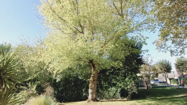 Parc Des Thermes